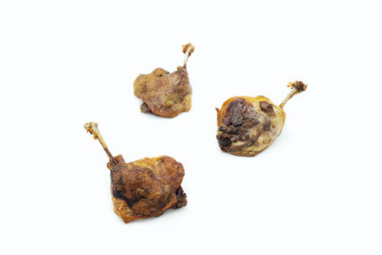 Cuisses de canard confites